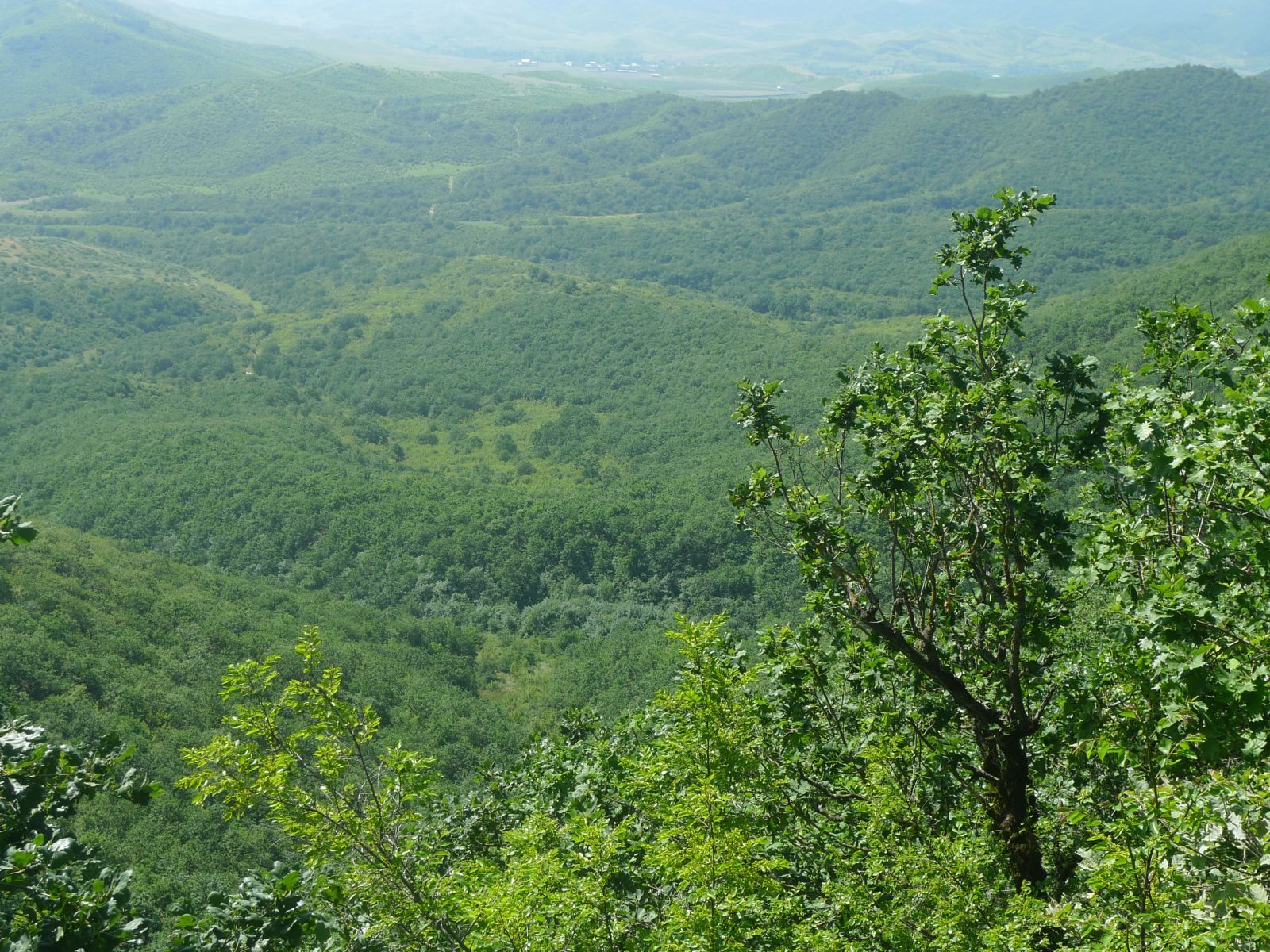 naczionalnyj-park-samurskij-2