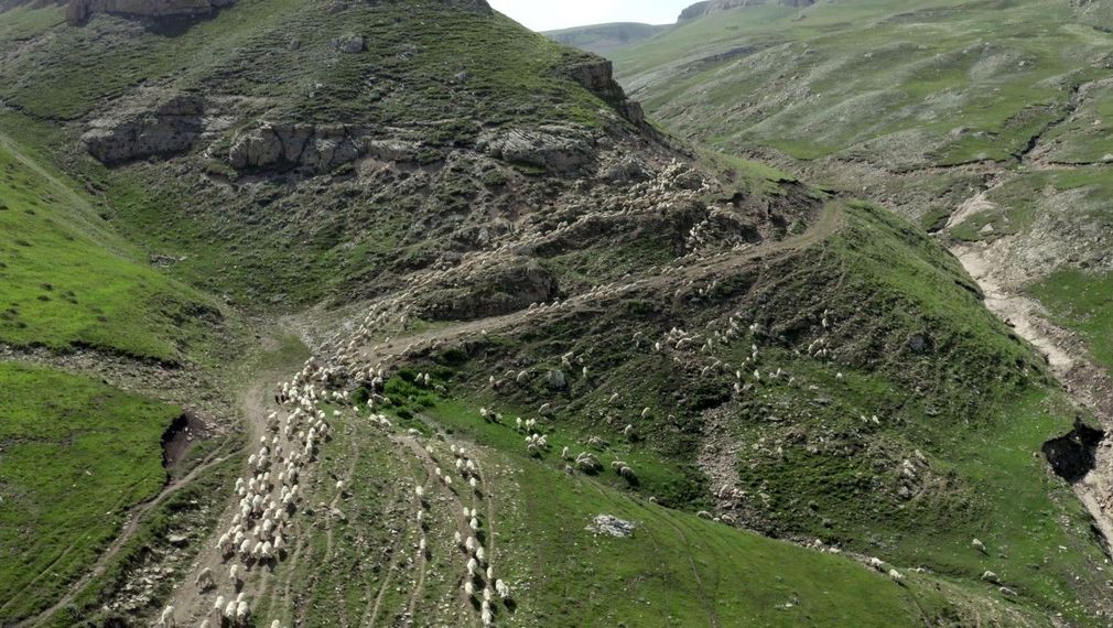 Сотрудники Постпредства посетили кинопоказ документального фильма дагестанского режиссёра Абдулы Бечедова «Перегон»