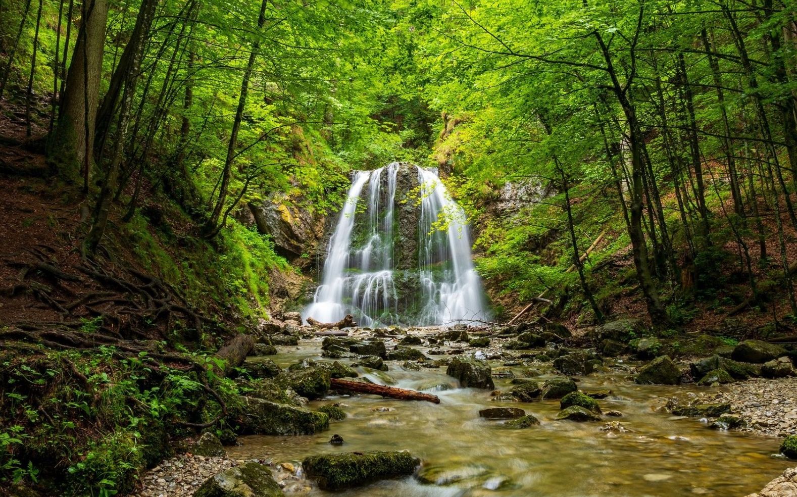 11 января – День заповедников и национальных парков в России