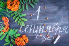 Inscription in Russian "September 1" with Rowanberry leaves and berries on a wooden background. Greeting gift card for the day of knowledge. Hand lettering.